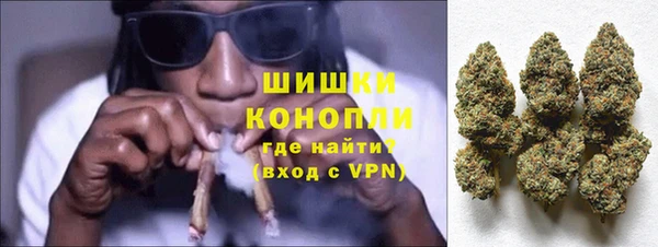spice Нестеровская