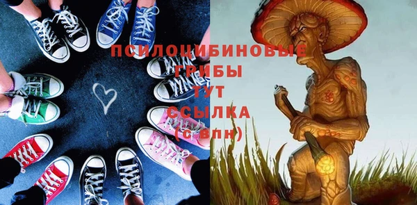 spice Нестеровская