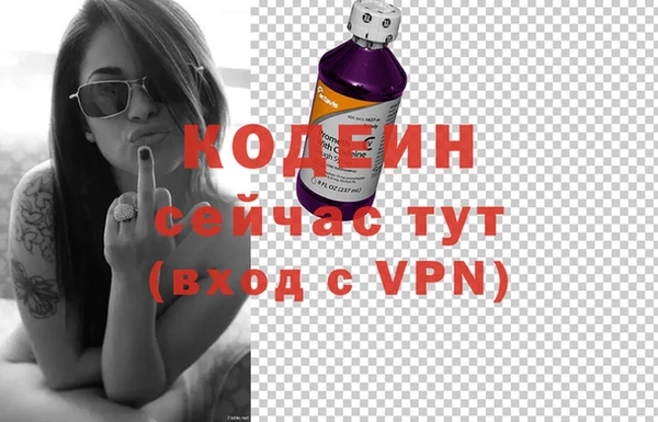 spice Нестеровская