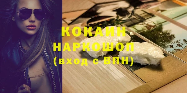 сатива Фёдоровский