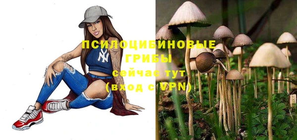 каннабис Санкт-Петербург
